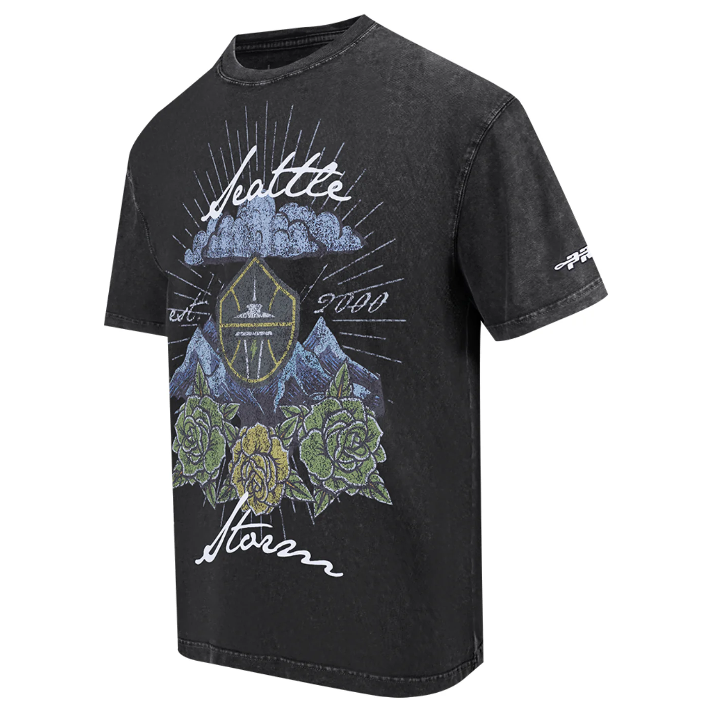 Pro Standard Mountains and Roses Enzyme Tee - Image 2