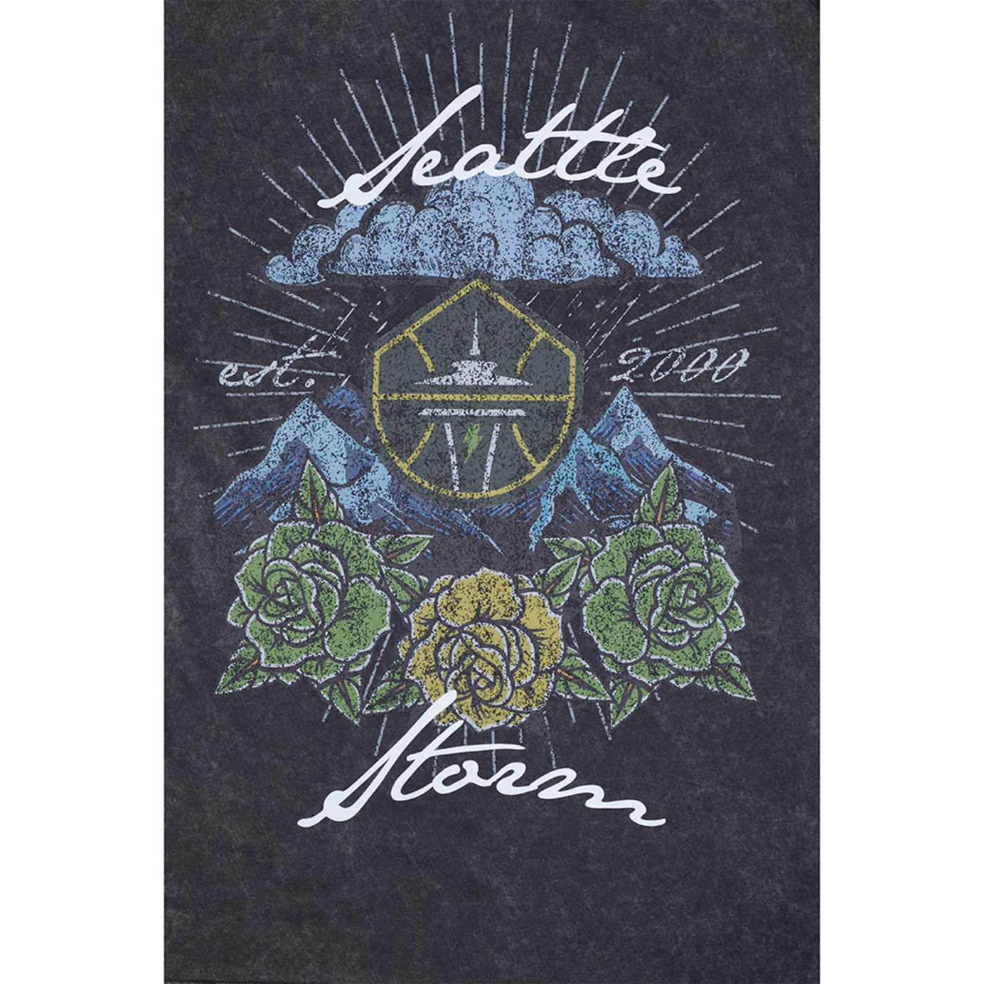 Pro Standard Mountains and Roses Enzyme Tee - Image 5